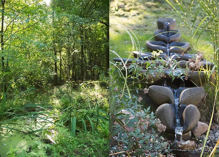 An Der Loreley * Sankt Goar